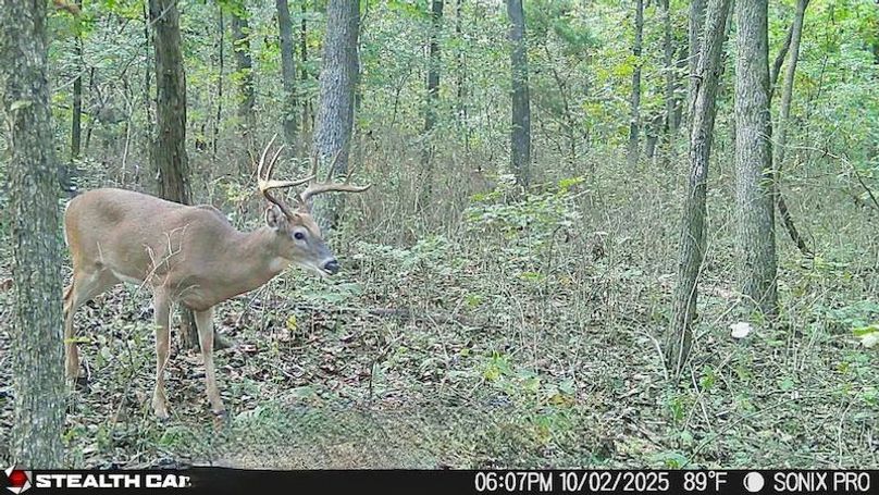 25100218073301002633_ColorizationType.none 2