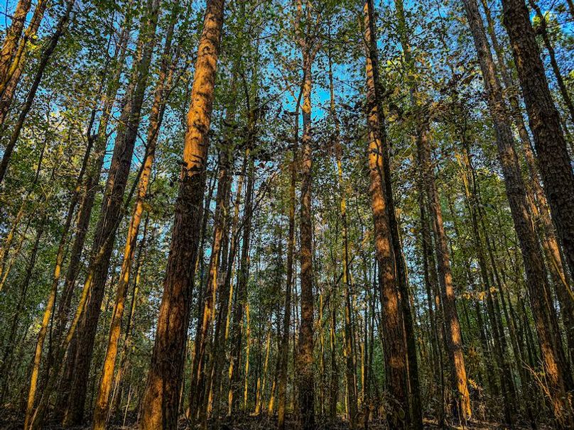 Clay 302.7 Henderson-11