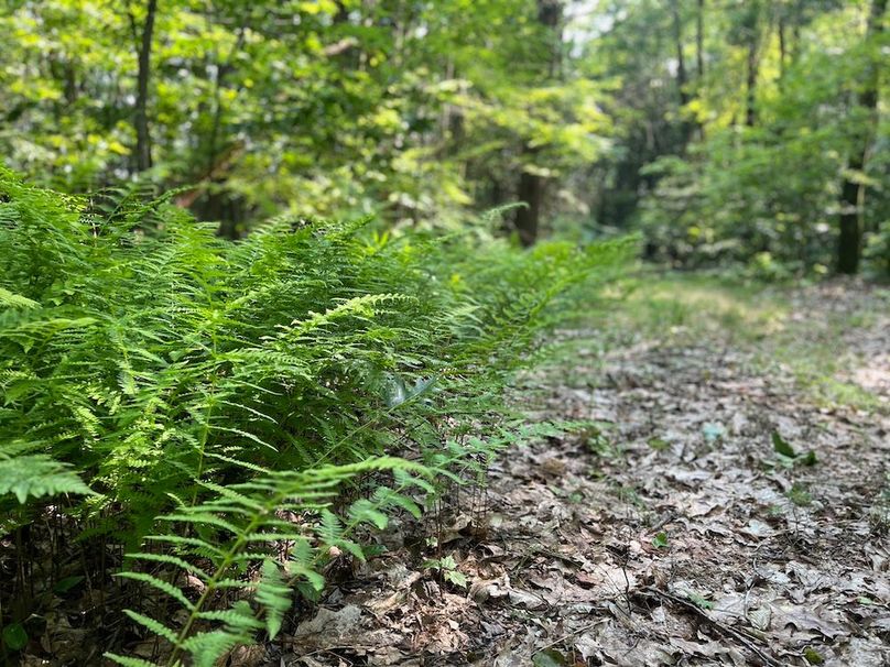 Oswego_22.46-Ross-French_Photos_24