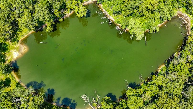 dji_fly_20240730_145036_0252_1722366497051_photo