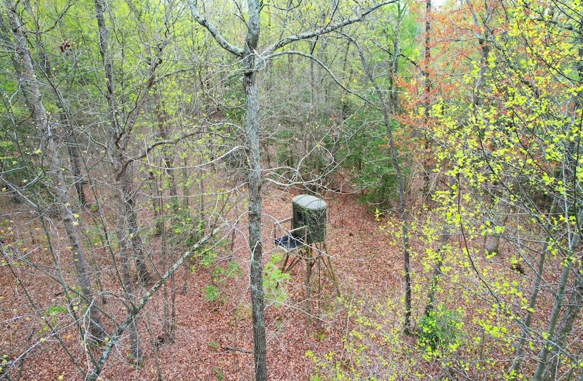 35ac_Teats Branch Rd_Queen Annes_PIC 04