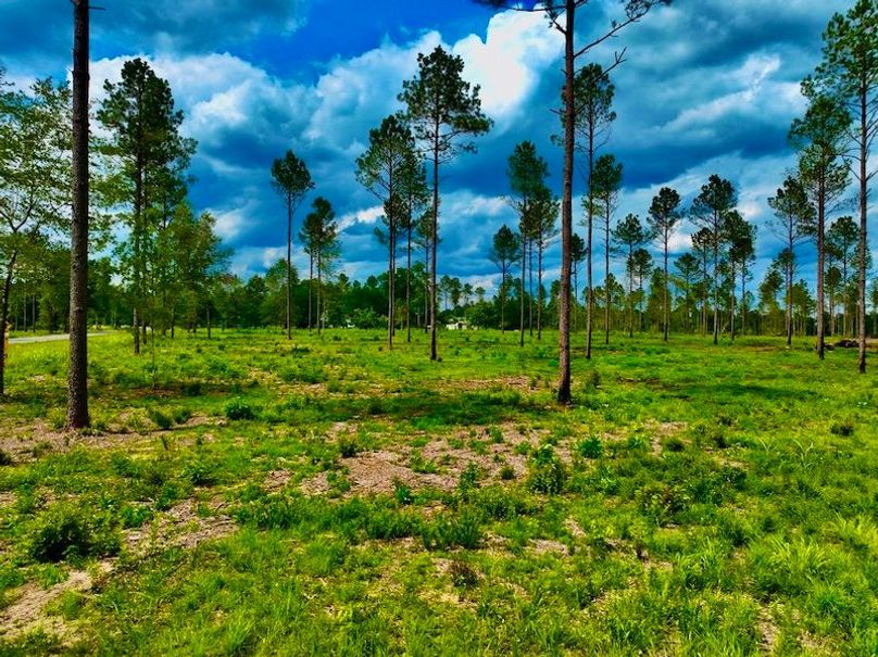 343988BB-25F9-4278-91DE-AFA3F678419A_1_105_c