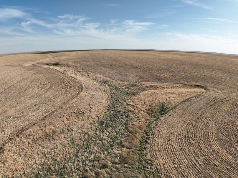 DJI_0389