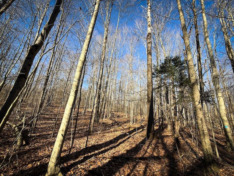 Chemung_31.75_Seymour_North_Photos_19