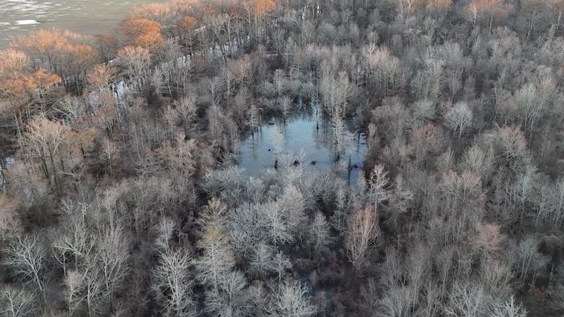 311 new20260217_0456