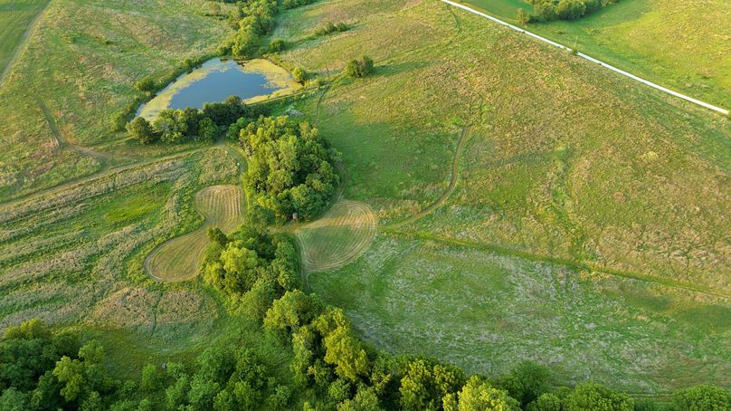 Harrison MO 480 Pro Photo_230 (13)