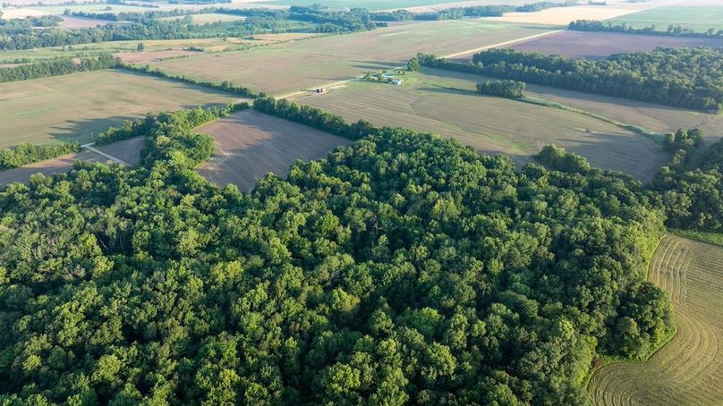 Copy of DJI_20250703173820_0034_D