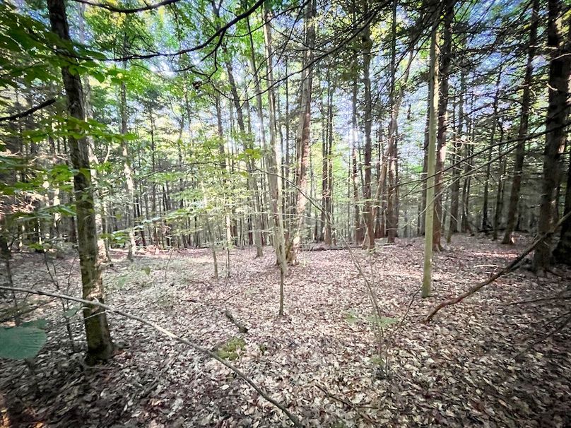 Tioga_82.5_Williams_Photos_28