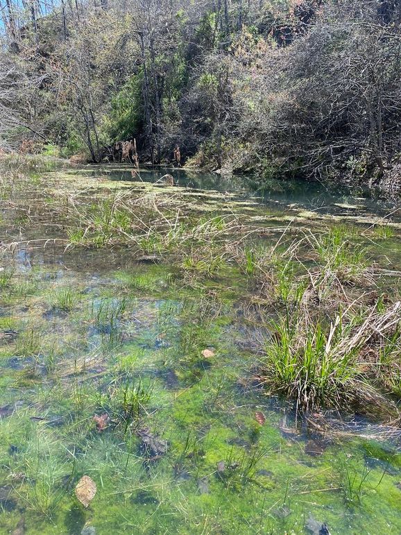 Carter Gordon 70 +_- 022