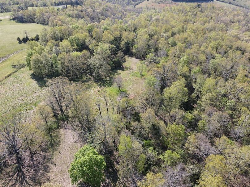 DJI_0321