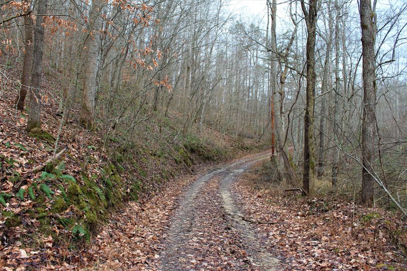 009 Barrett Road, leading up to within 150 yards of the property line