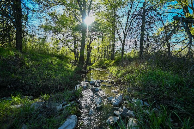 vandalia 450 (2)-3054