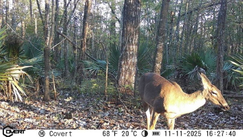 11_11_2025_16_27_40_3248972863