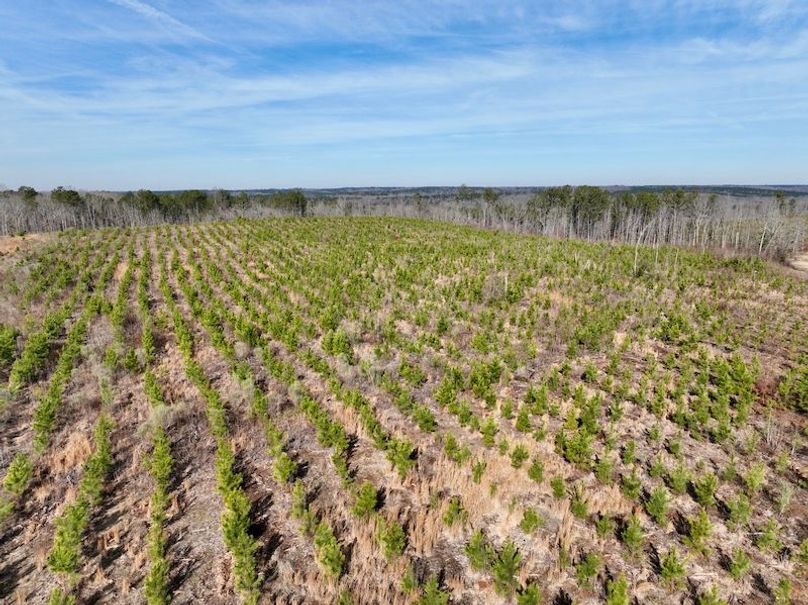 dji_fly_20260120_110934_156_1768926683292_photo