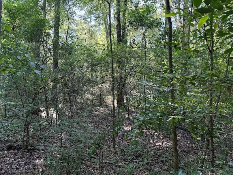 0B18AD12-400C-48A6-8C4F-BFE75AC788A0