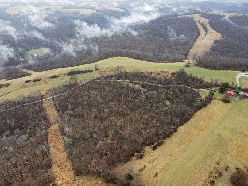 dji_fly_20240306_104204_860_1709739735924_photo