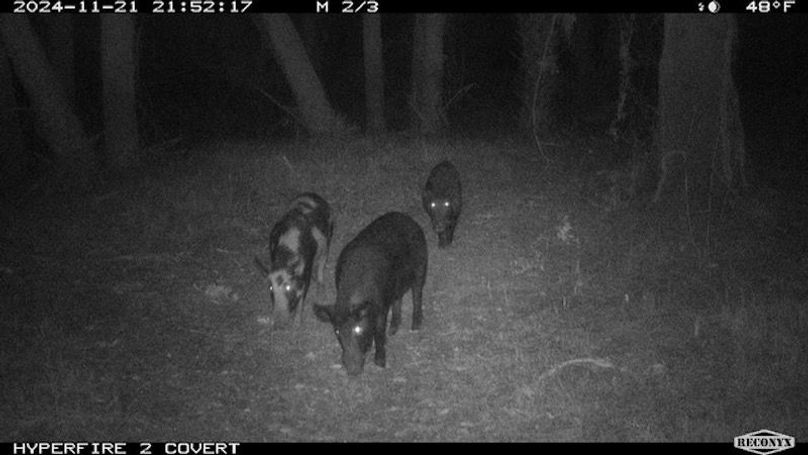 CE8CC47E-2CD9-420D-86A0-5E666DE07F73