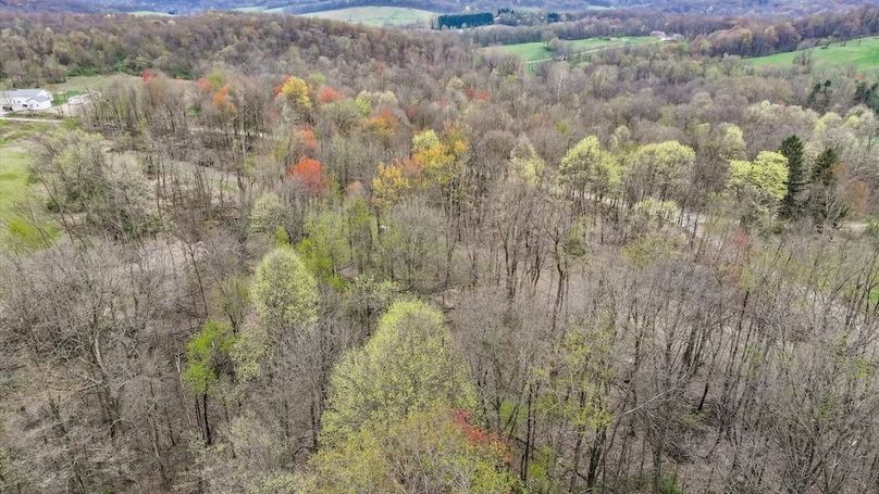 14-Z McKee Rd_075028_0009_1745107661312_photo