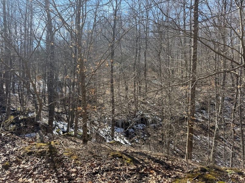 022 open gorge area draining out from the upper valleys