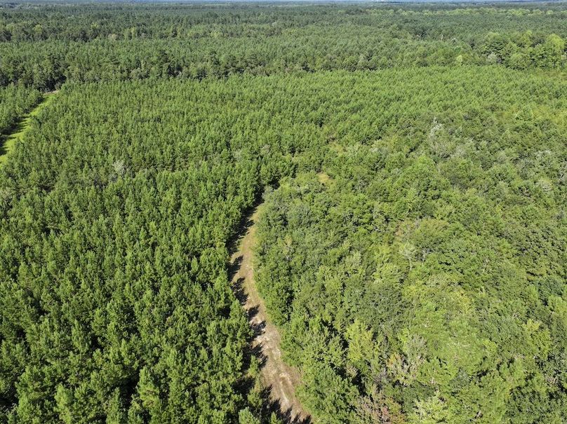 DJI_20240820164117_0021_D