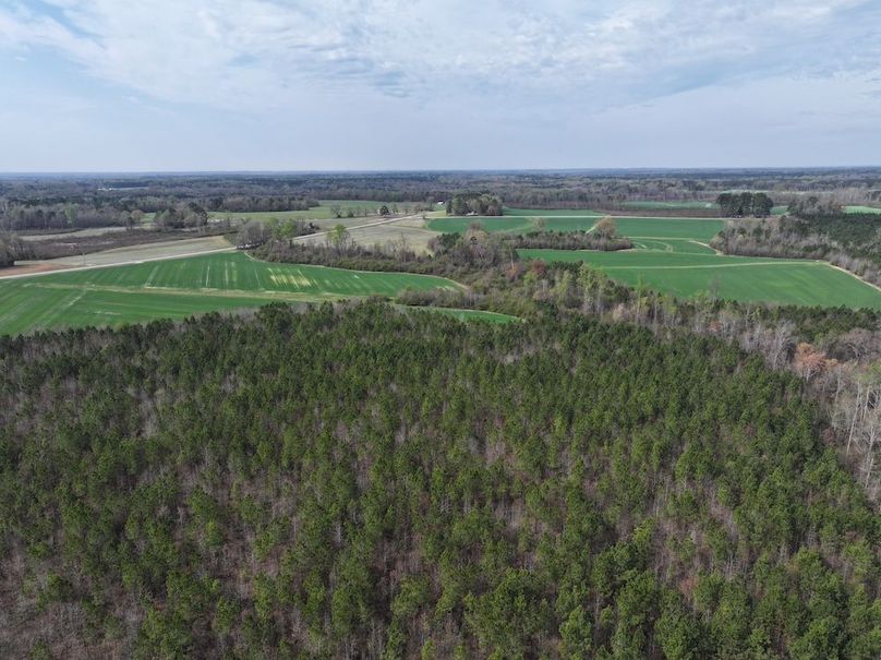 DJI_20260303063932_0559_D