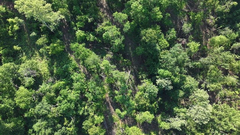 dji_fly_20240516_093528_0020_1715866834165_photo