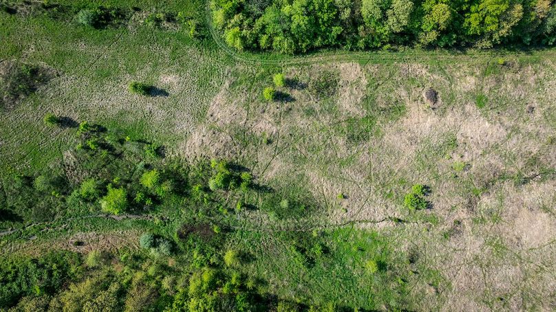 DJI_20250428084014_0038_D