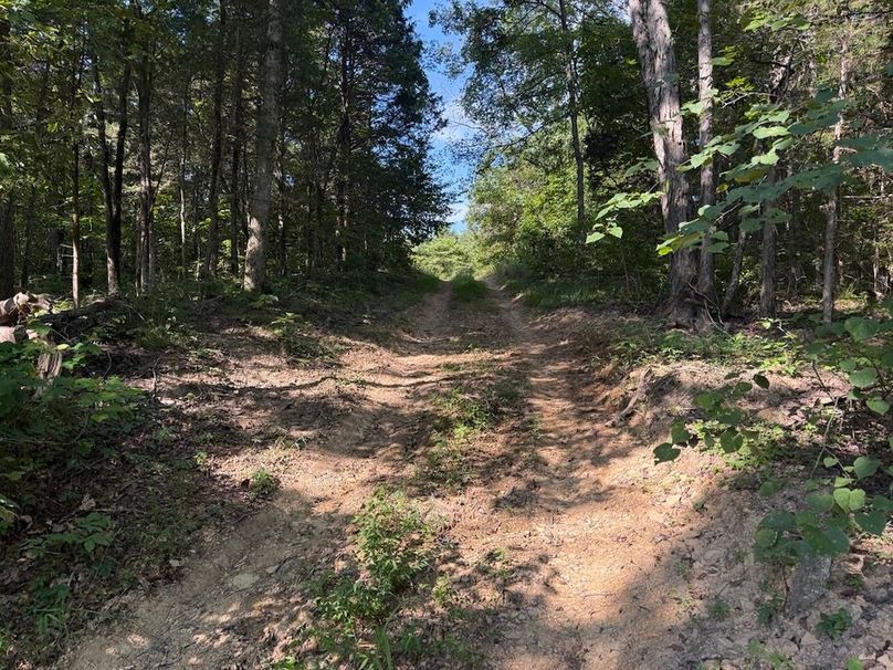 Adair 24.27 Hartsog 11 