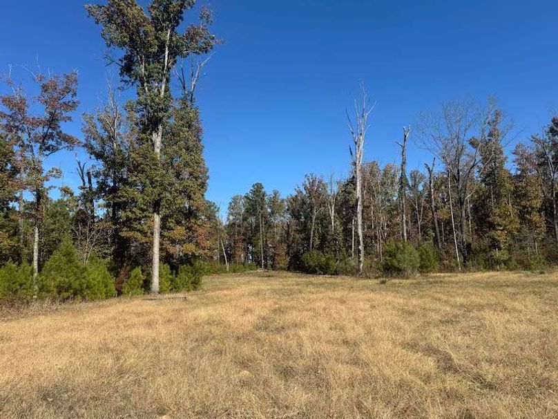 jeff 5020251111_0321