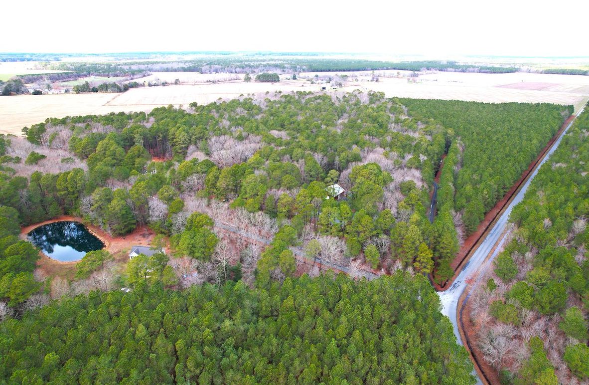 16.38ac_SilverGooseRd_DORCH_Aerial 003