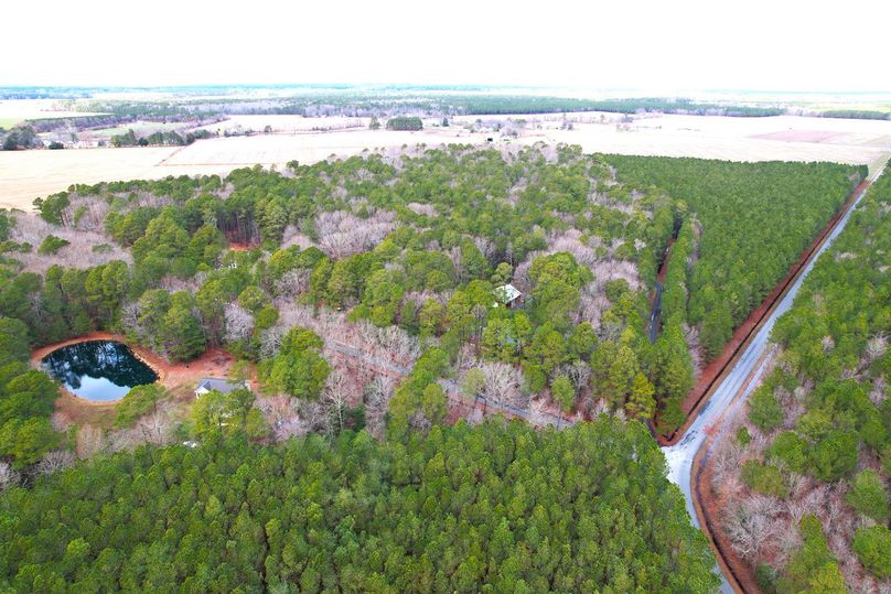 16.38ac_SilverGooseRd_DORCH_Aerial 003