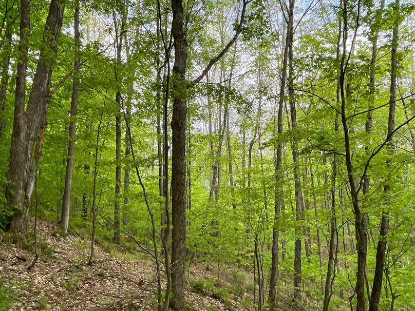 Tioga_18.72_Coulson Photo 20