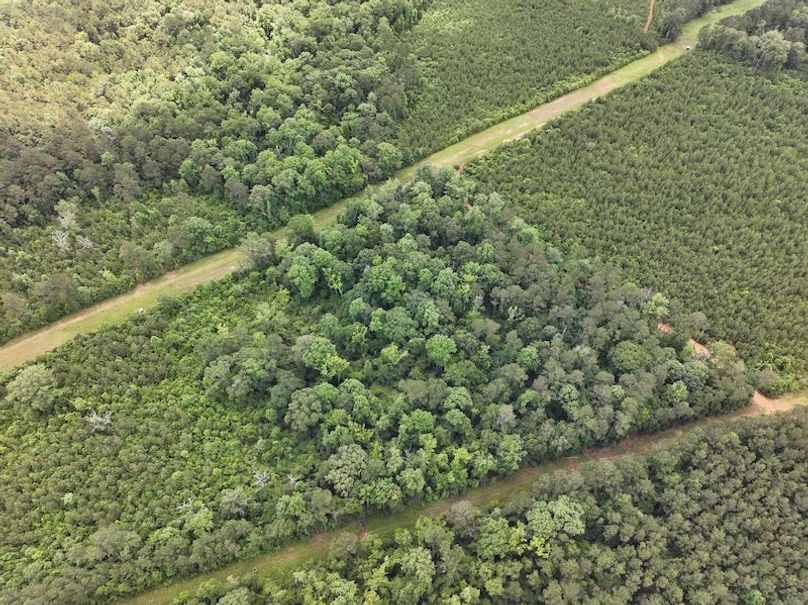 dji_fly_20260522_105440_0075_1779490428663_photo