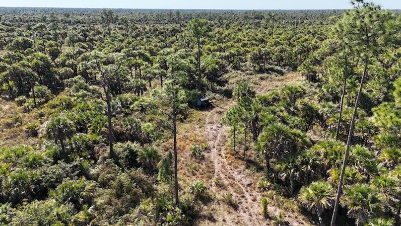 DJI_20251119125445_0003_D