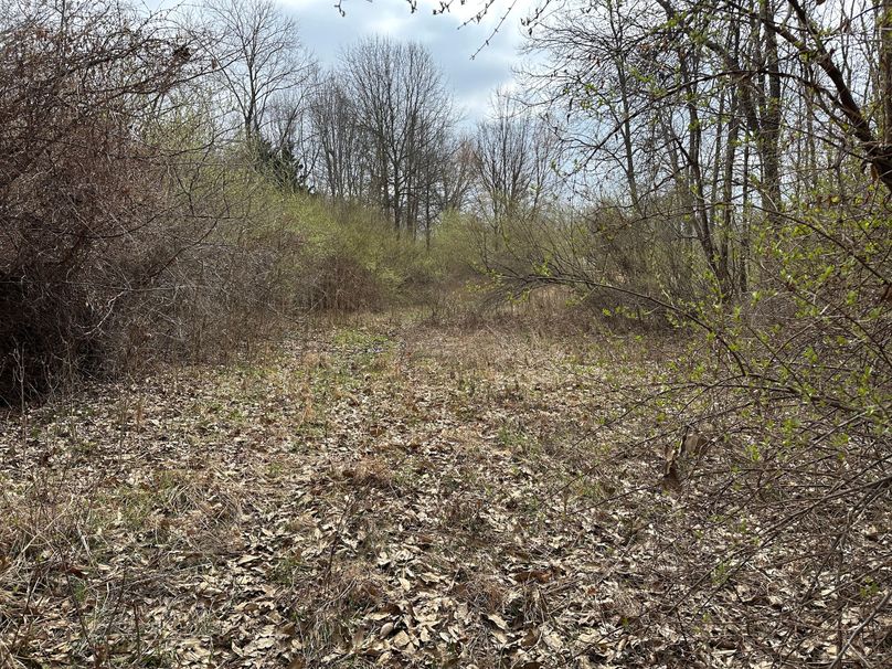 path leading out to paved road access