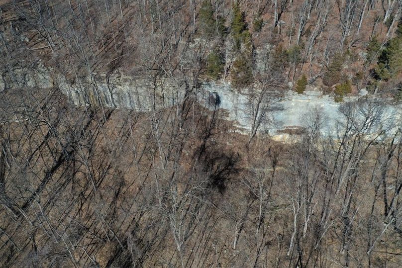 005 limestone rock bluff in the middle portion of the property