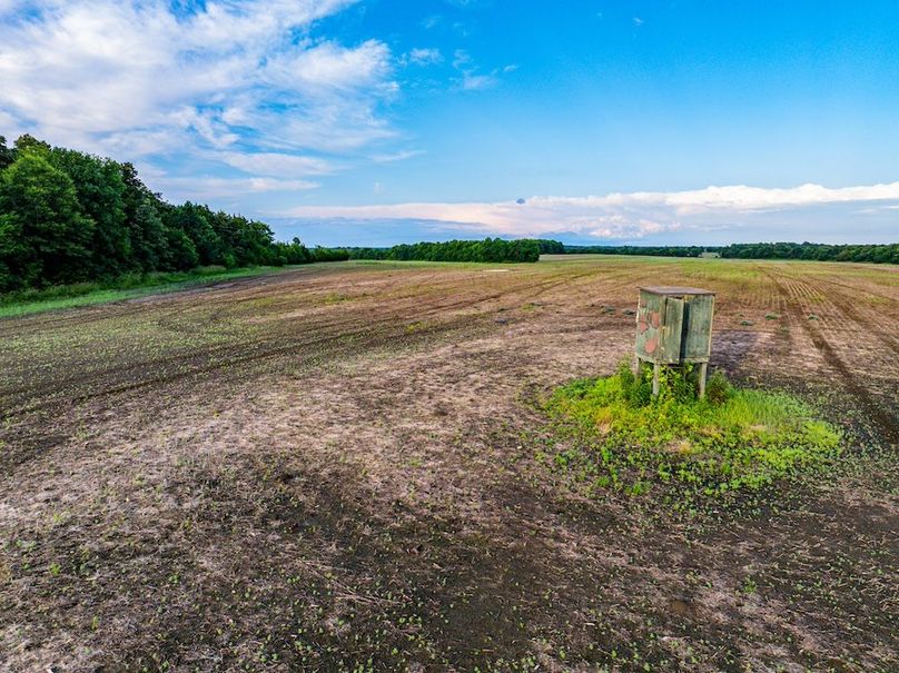 Copy of Clay 374.13-26