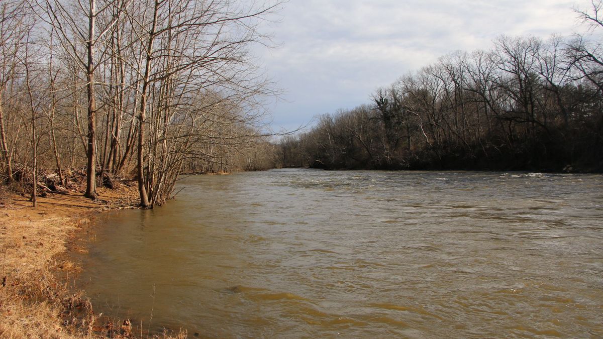 Shenandoah Riverfront Rec Tract For Sale Whitetail Properties