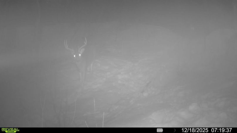 016579001605604-100-4-12182025071937-SYFW04025