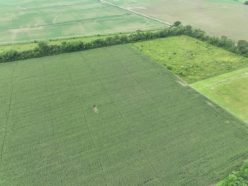 dji_fly_20240620_102612_560_1718899007131_photo