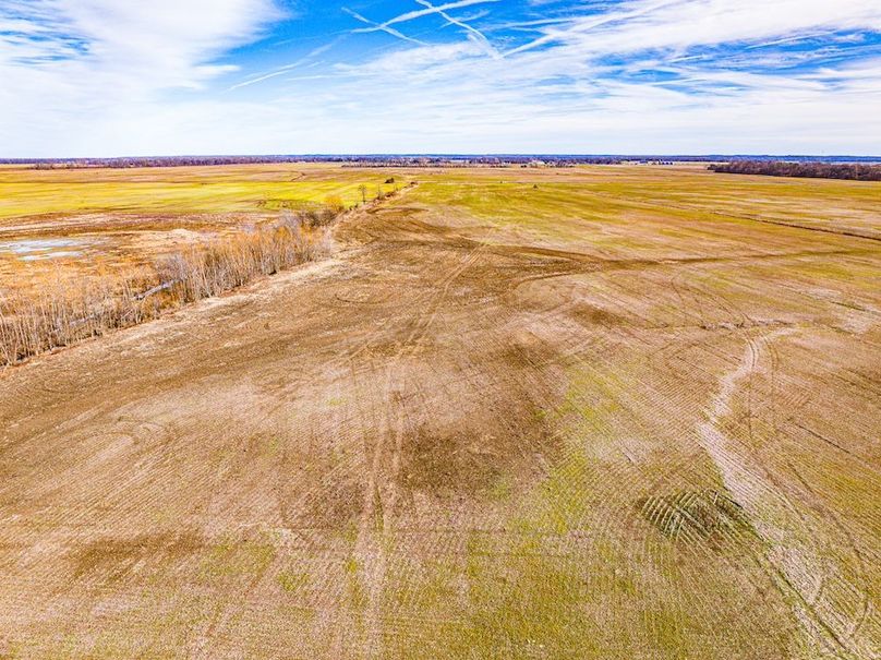 Copy of Lake 381.37-03