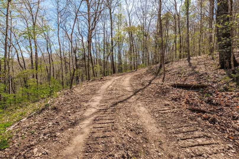 80-web-or-mls-0 Mound Creek Rd-50