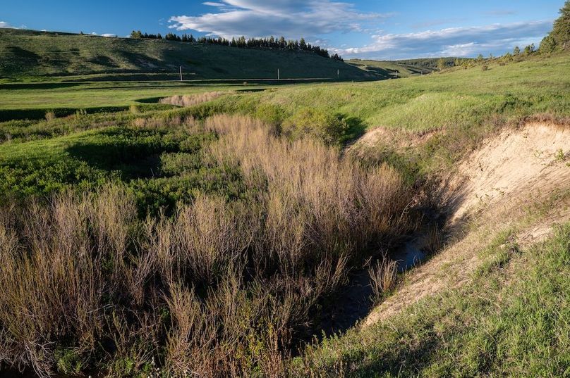 AF8982BA-FAD5-4D65-B8EF-06320D03A89E