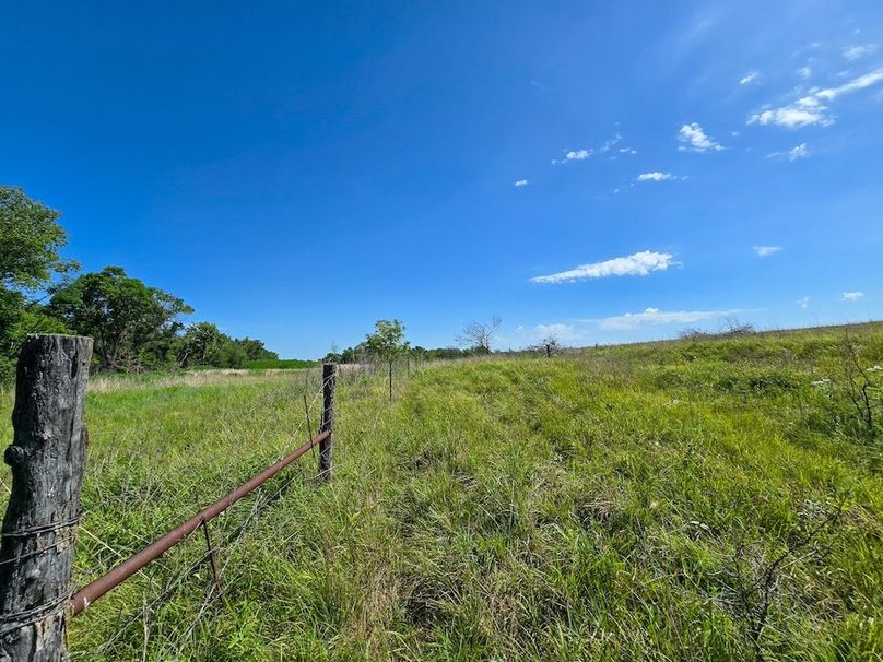 Copy of 20250729_111839