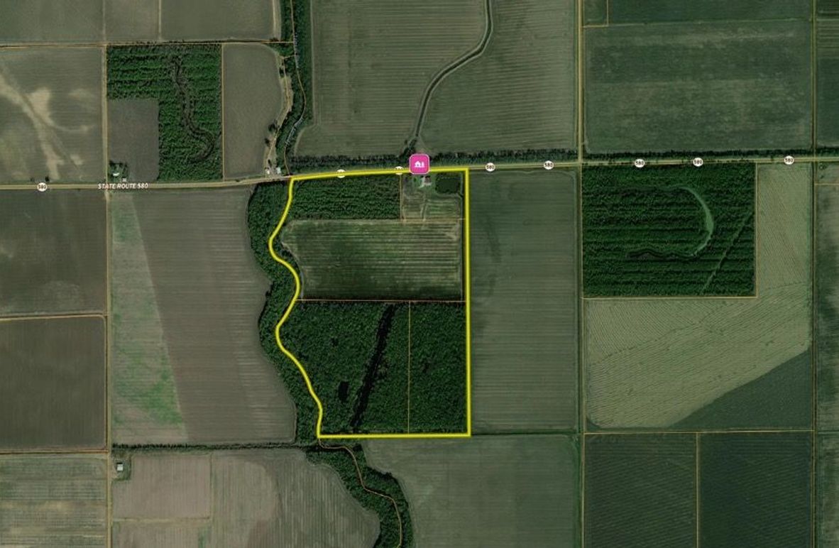 East Carroll  115. Carter  close