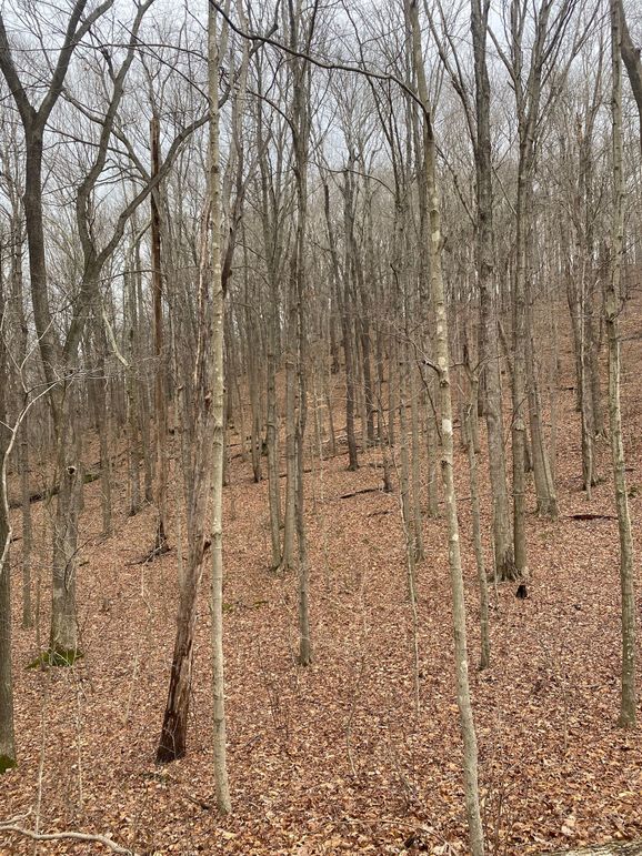 Greenup Ky Mauk 46.15 13