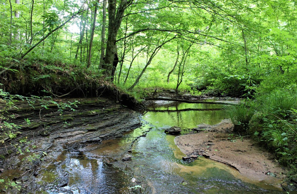 001 beautiful rock bottom stream flowing through the middle of the property