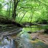 001 beautiful rock bottom stream flowing through the middle of the property