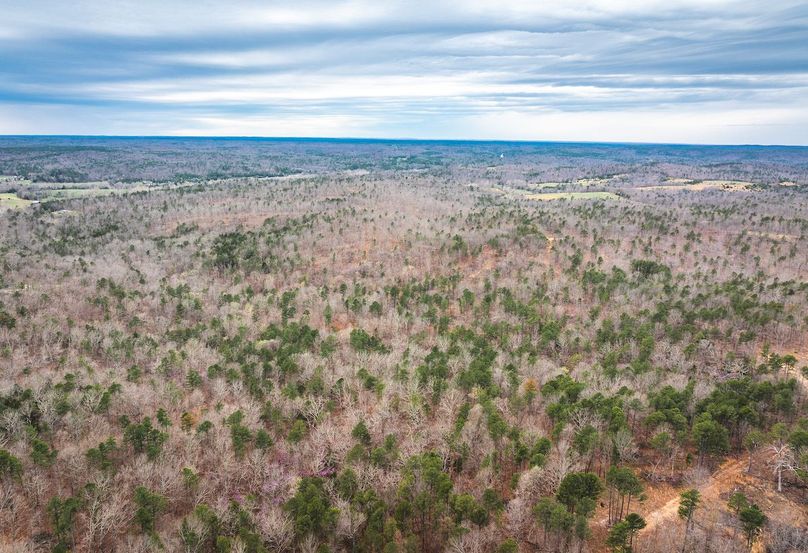 DJI_20250403135213_0604_D