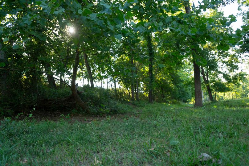 Ozark MO 638_Pro Photo_72